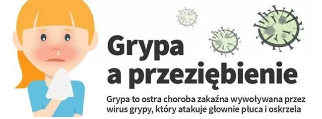 Grypa A Przezi Bienie Bhp